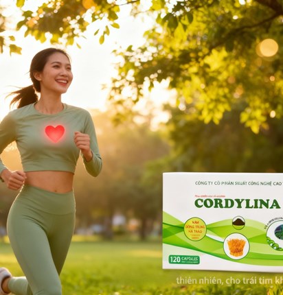 Cordylina loại 120 viên