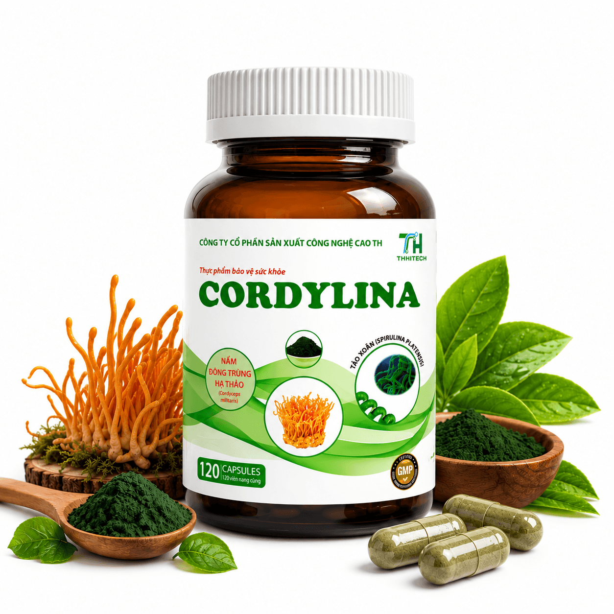 cordylina