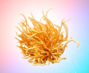 Tác dụng của 