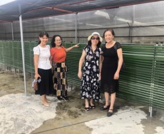 Thư viện hình ảnh