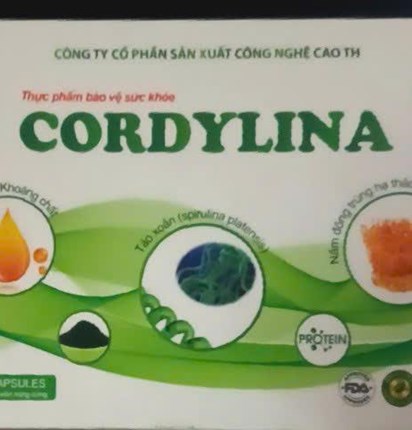 Cordylina loại 120 viên