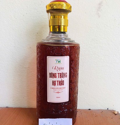 Rượu đông trùng hạ thảo  2