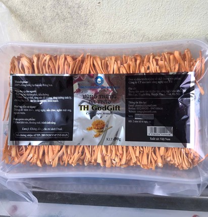 Đông trùng hạ thảo 100g sấy thăng hoa