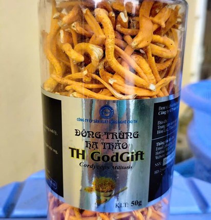 Đông trùng hạ thảo 500g sấy thăng hoa